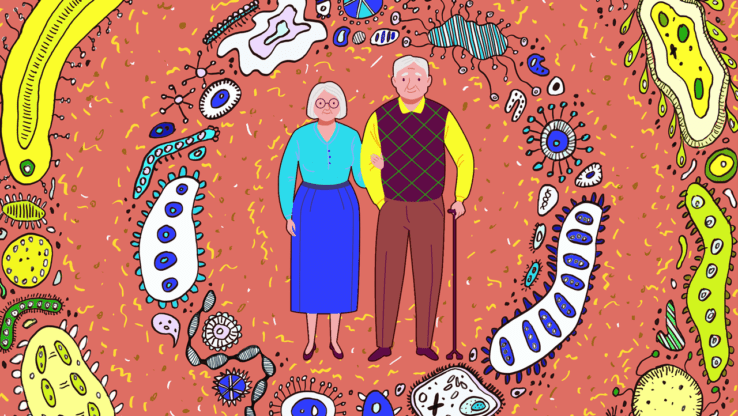 Elderly microbiome 738x416