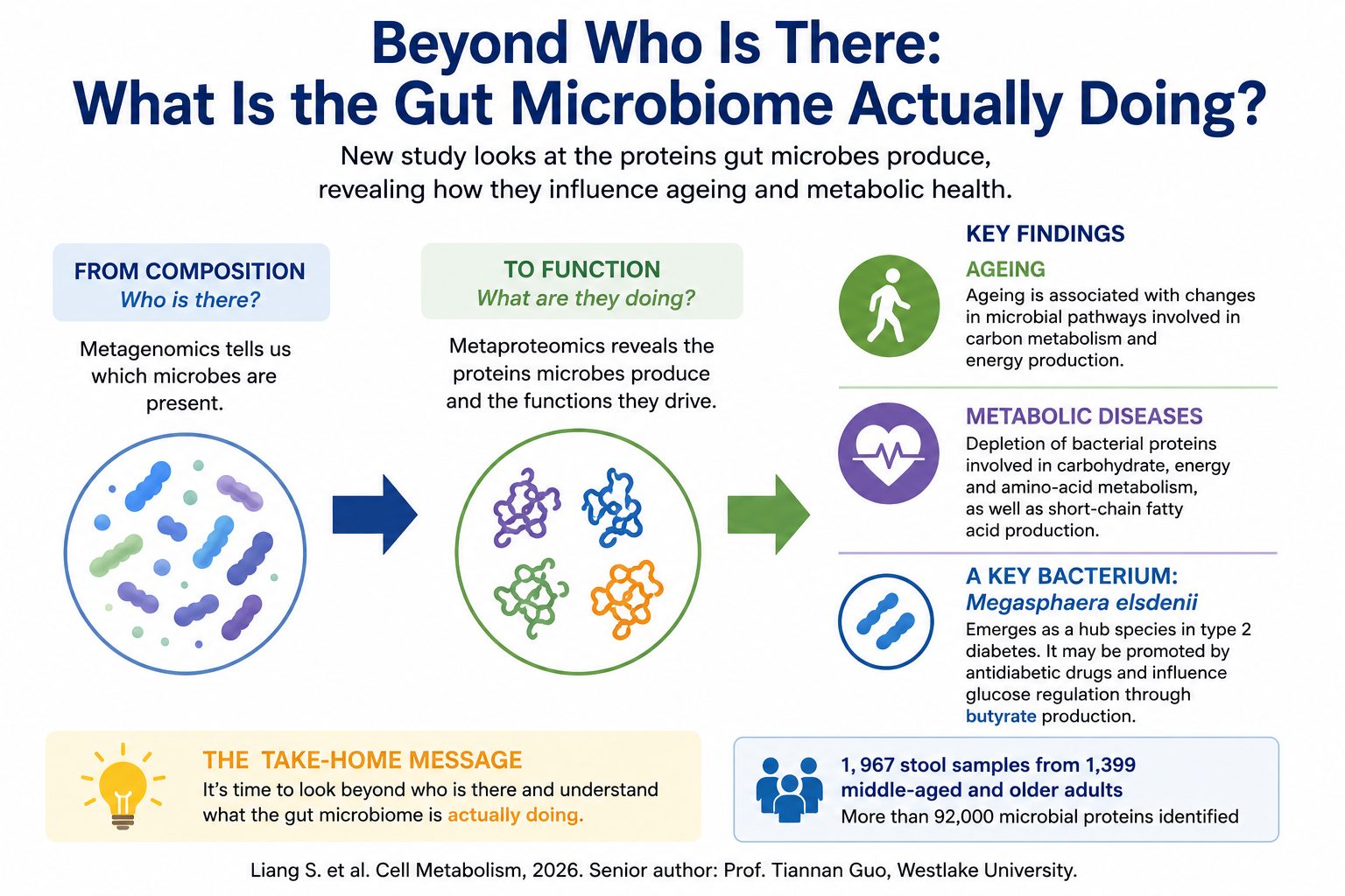 Beyond Who Is There What Is the Gut Microbiome Actually Doing