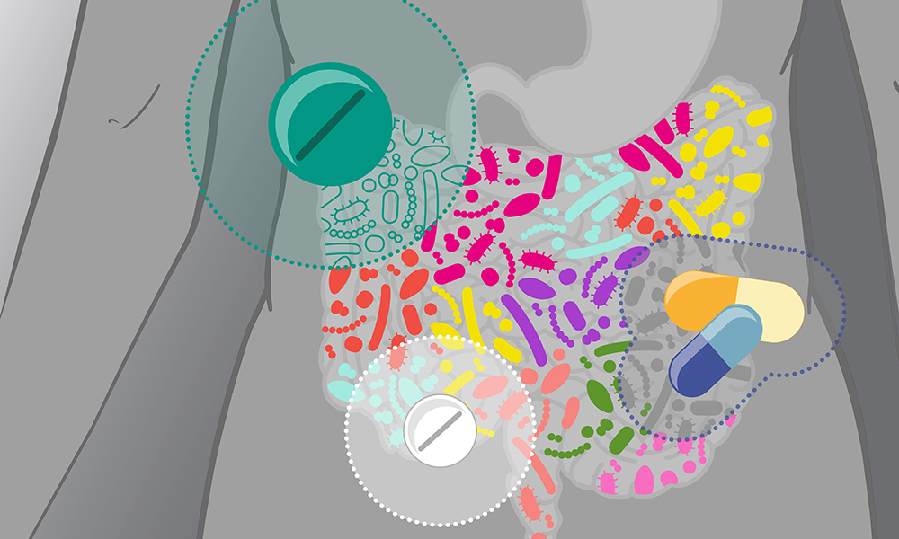 Bork lab Drug gut microbiome interactions 1000px