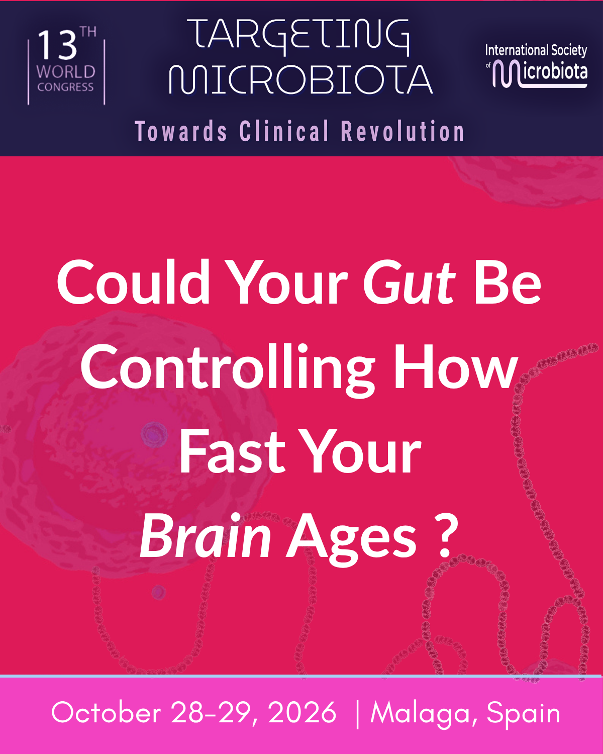 Could Your Gut Be Controlling How Fast Your Brain Ages2
