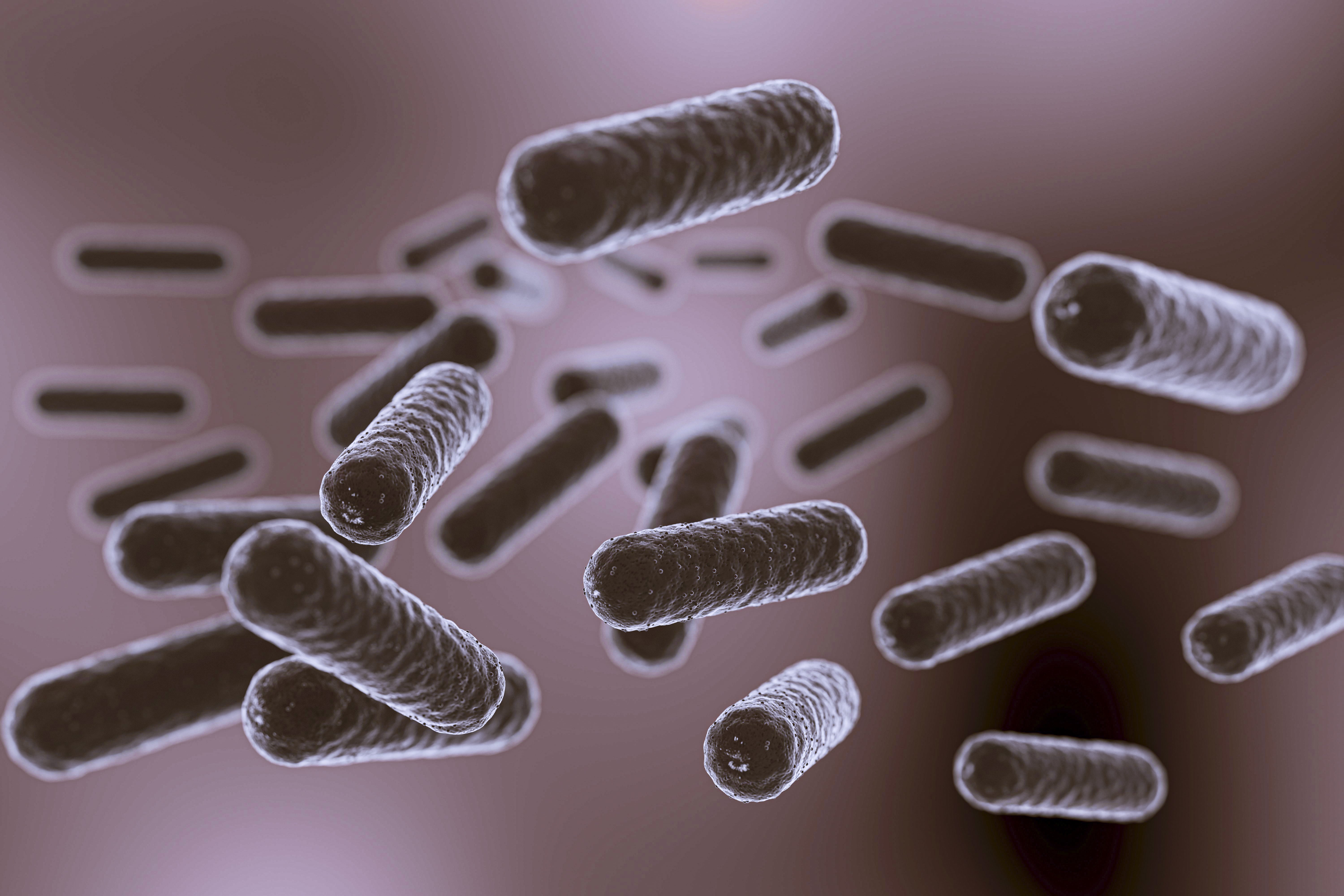 Key Findings Sulfur Producing Bacteria and Crohns Disease Symptoms min