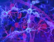  Link Between Gut Infections and Alzheimer’s Disease Uncovered