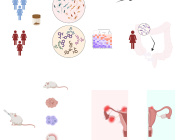 Identification of Distinct Stool Metabolites in Women with Endometriosis for Non-Invasive Diagnosis and Microbiota-Based Therapeutic Potential