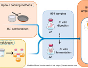 The Impact of Food and Cooking Methods on Gut Microbiota: A Microbial Perspective