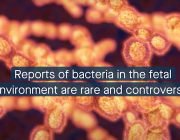 Revealing the Role of Extracellular Vesicles in Maternal-Fetal Communication